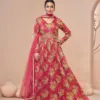 SAJNI